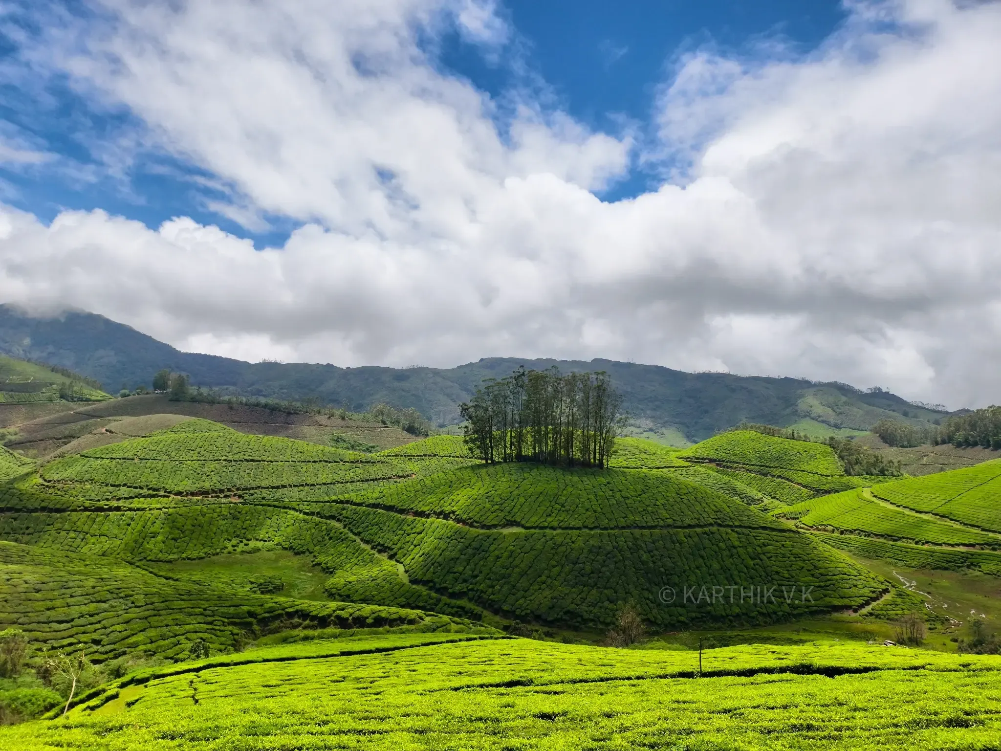 Landscape 1
